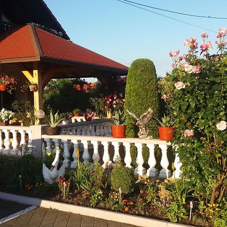 Guesthouse Tomas Čatrnja Exteriér fotografie