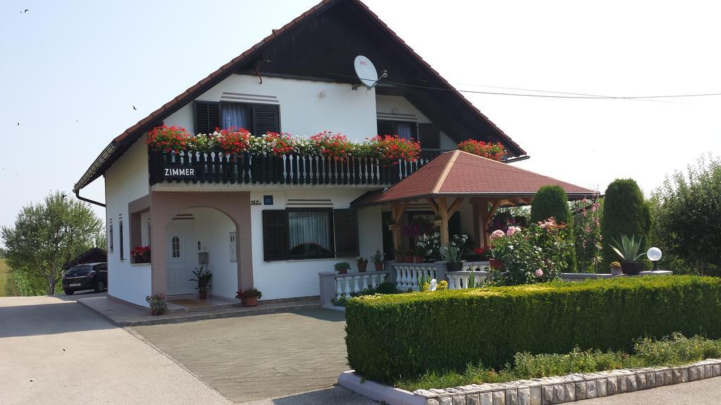 Guesthouse Tomas Čatrnja Exteriér fotografie