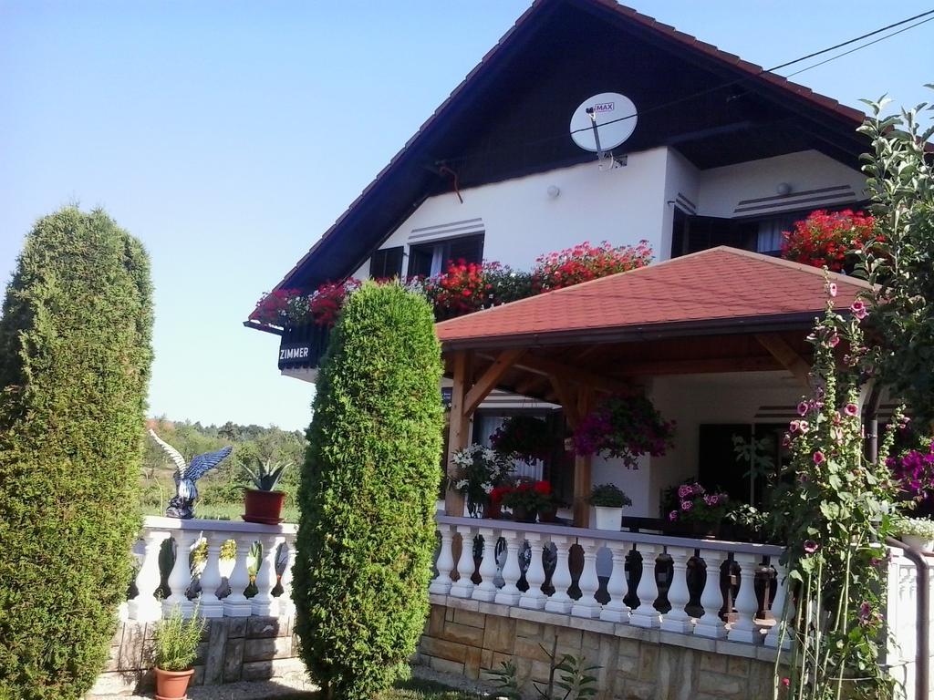 Guesthouse Tomas Čatrnja Exteriér fotografie