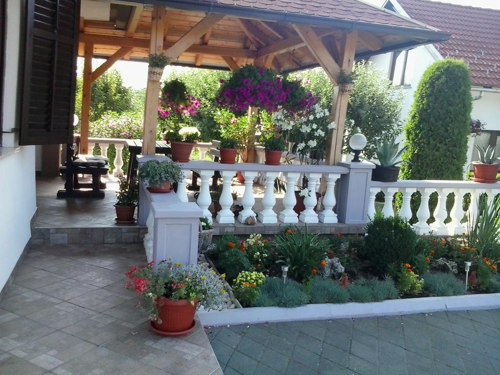 Guesthouse Tomas Čatrnja Exteriér fotografie