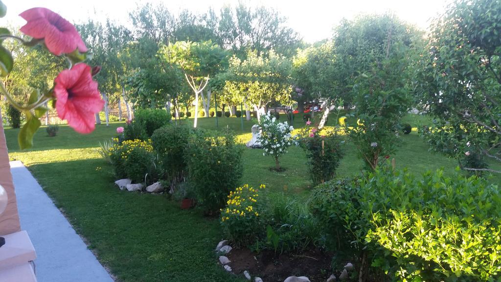 Guesthouse Tomas Čatrnja Exteriér fotografie
