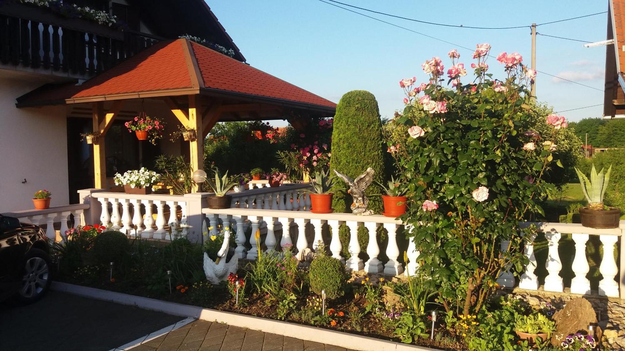 Guesthouse Tomas Čatrnja Exteriér fotografie