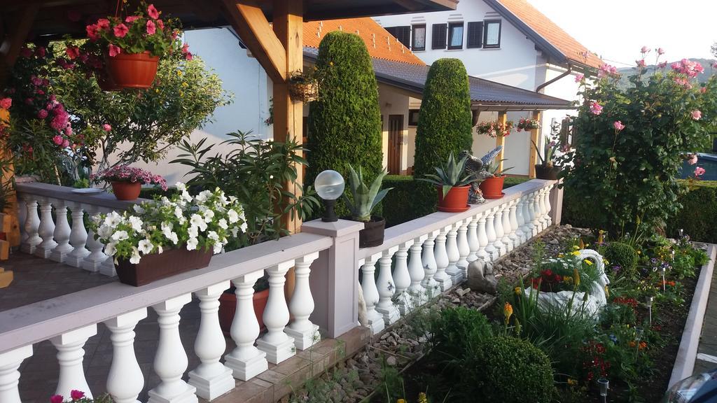 Guesthouse Tomas Čatrnja Exteriér fotografie