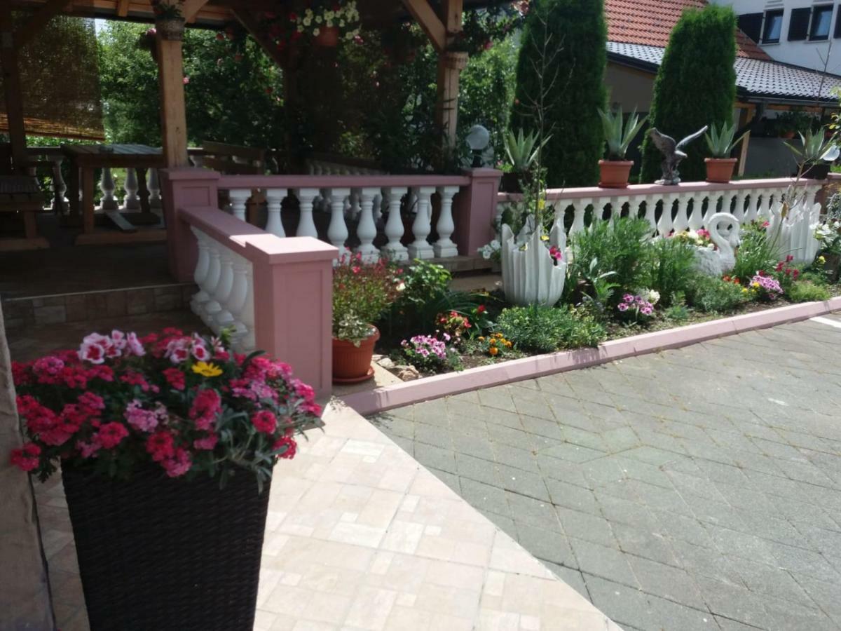 Guesthouse Tomas Čatrnja Exteriér fotografie